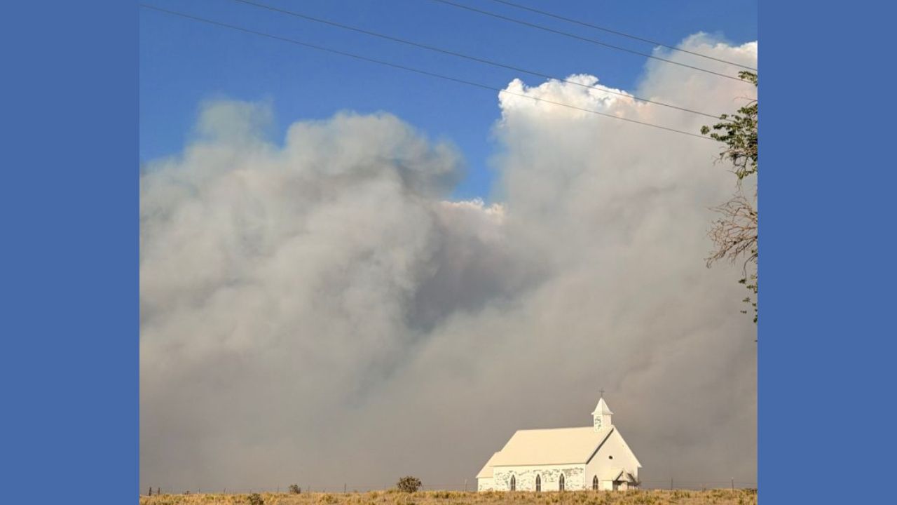 A lightning bolt, 30,000 acres on fire, and cows walking out of the ash — this New Mexico ranch family survived it all