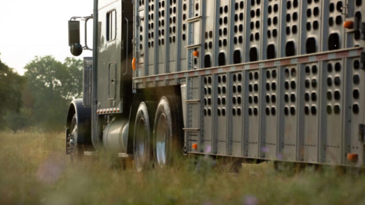 Pasco Man Accused of Taking Cattle Truck, Demanding $20,000 for Return