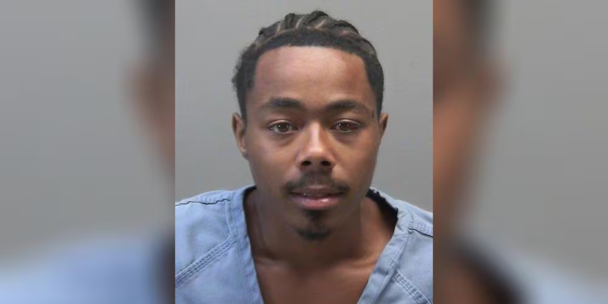 She Was Just Walking Through a Park — Then a Driver Hit Her and Vanished. He Didn't Get Far.
